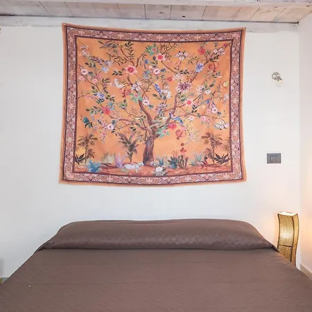Manoa 5 *